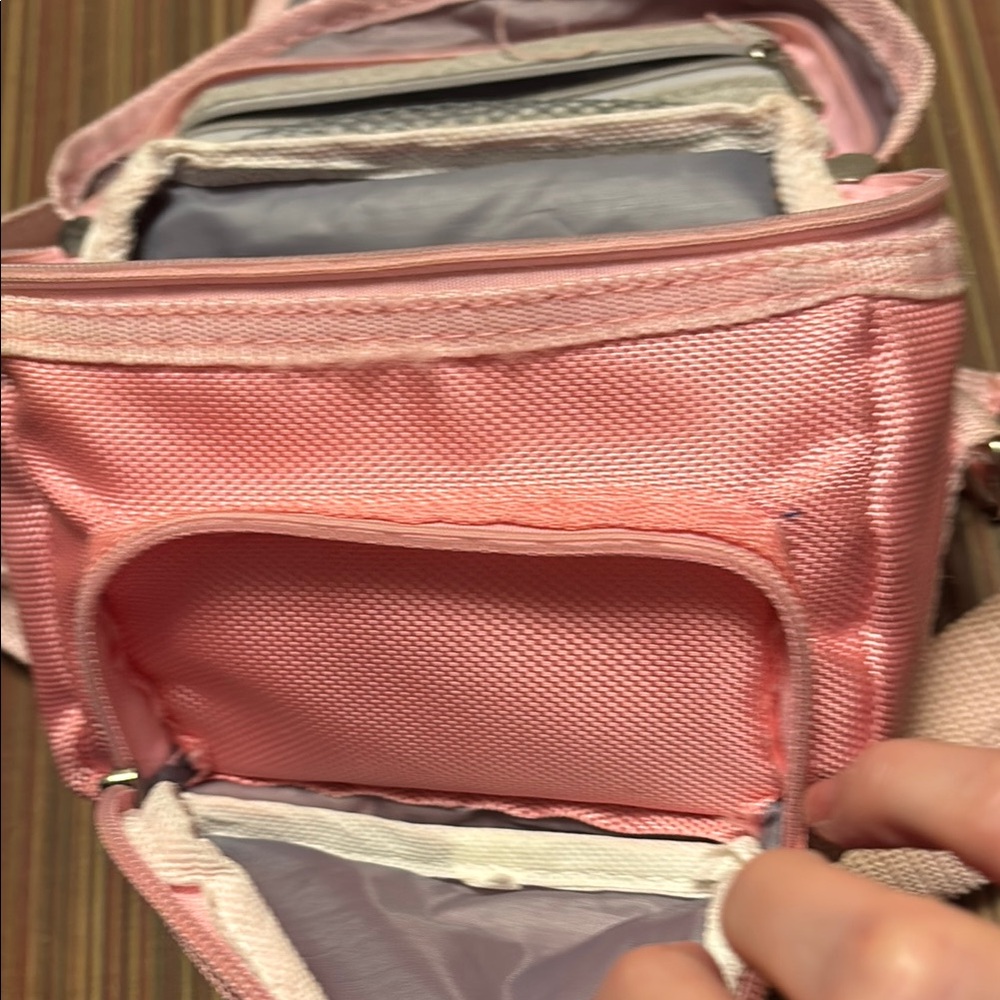 Pink Nintendo Ds travel Bag